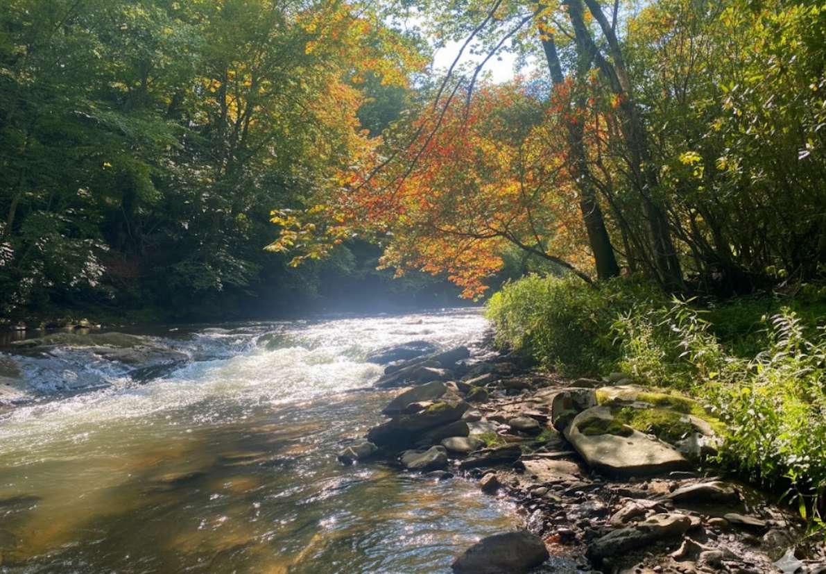 Fish and Fiddle Cabin and RV Sites