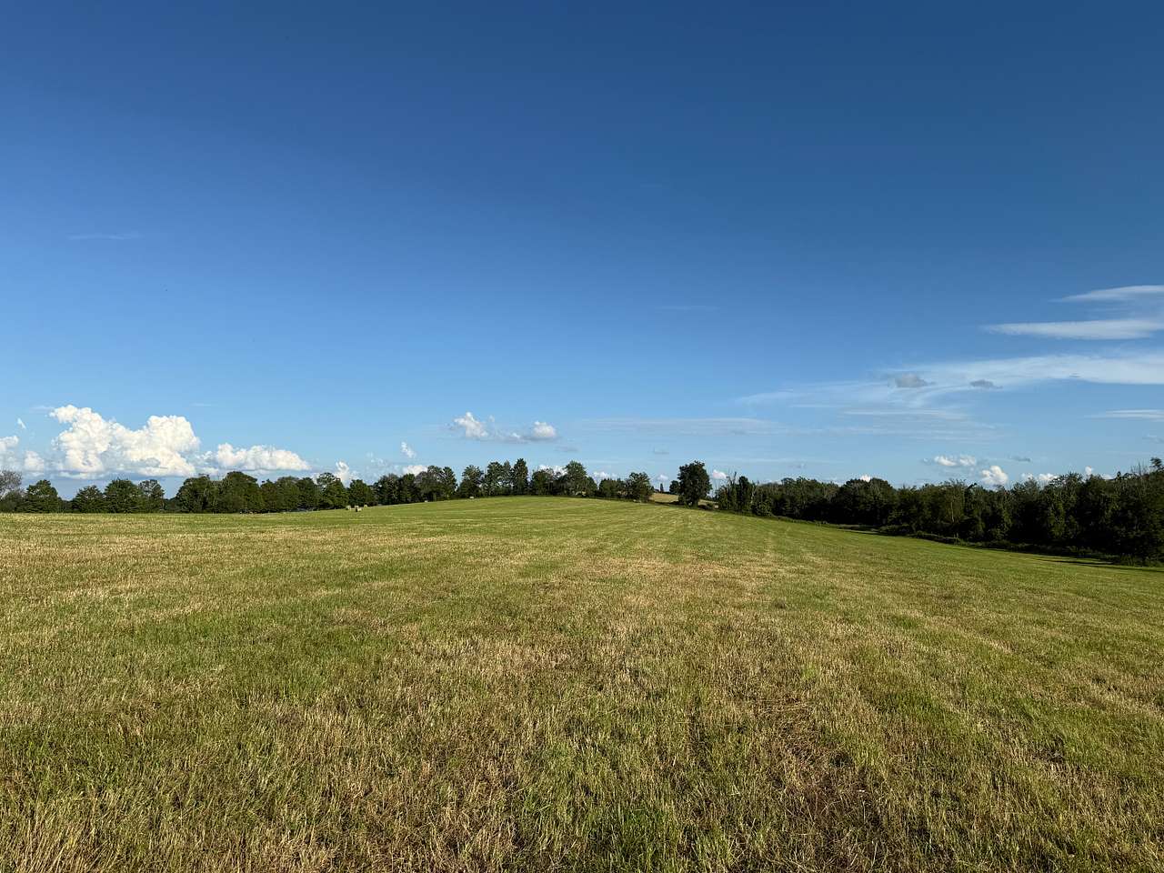 Laurel Ridge Farm