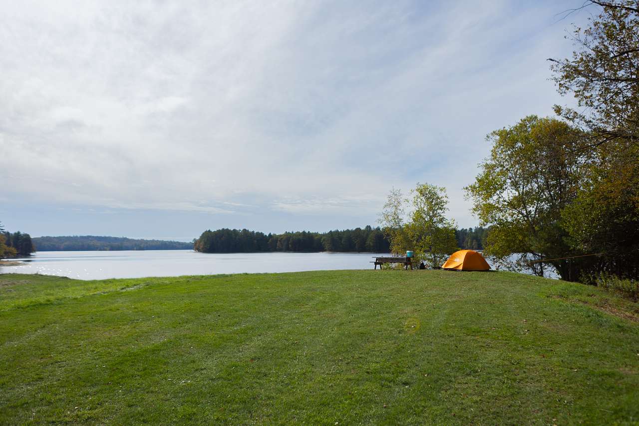 Site View