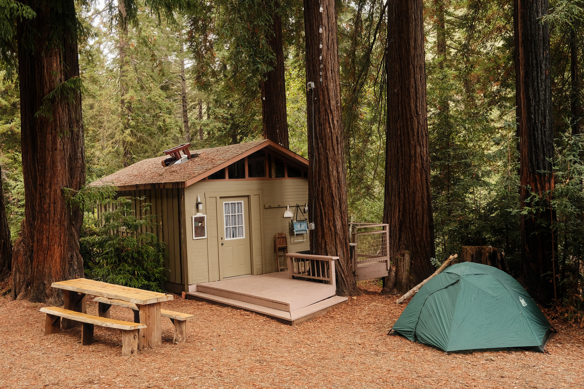 Camp hoppy