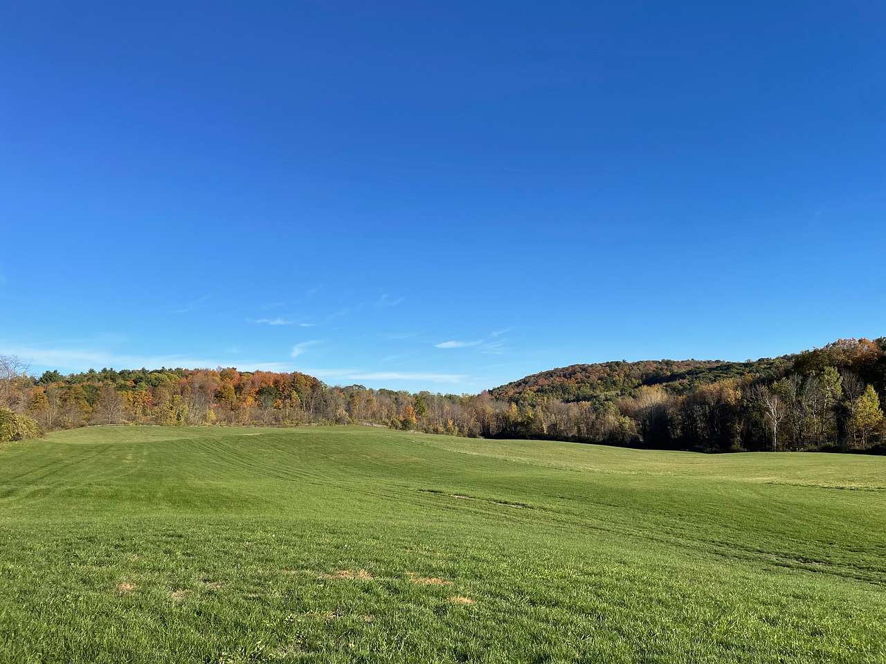 Summit View Farm