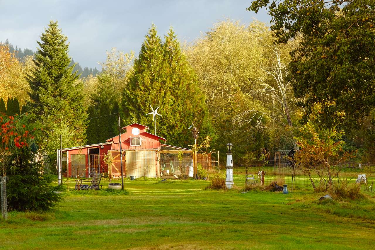Farm with animals!