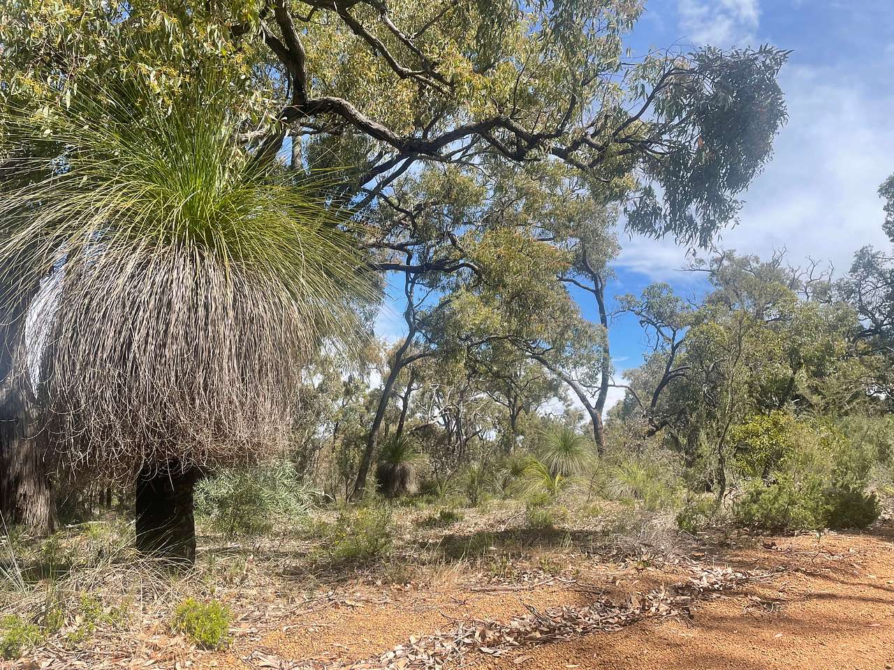 Julimar Forest Camp