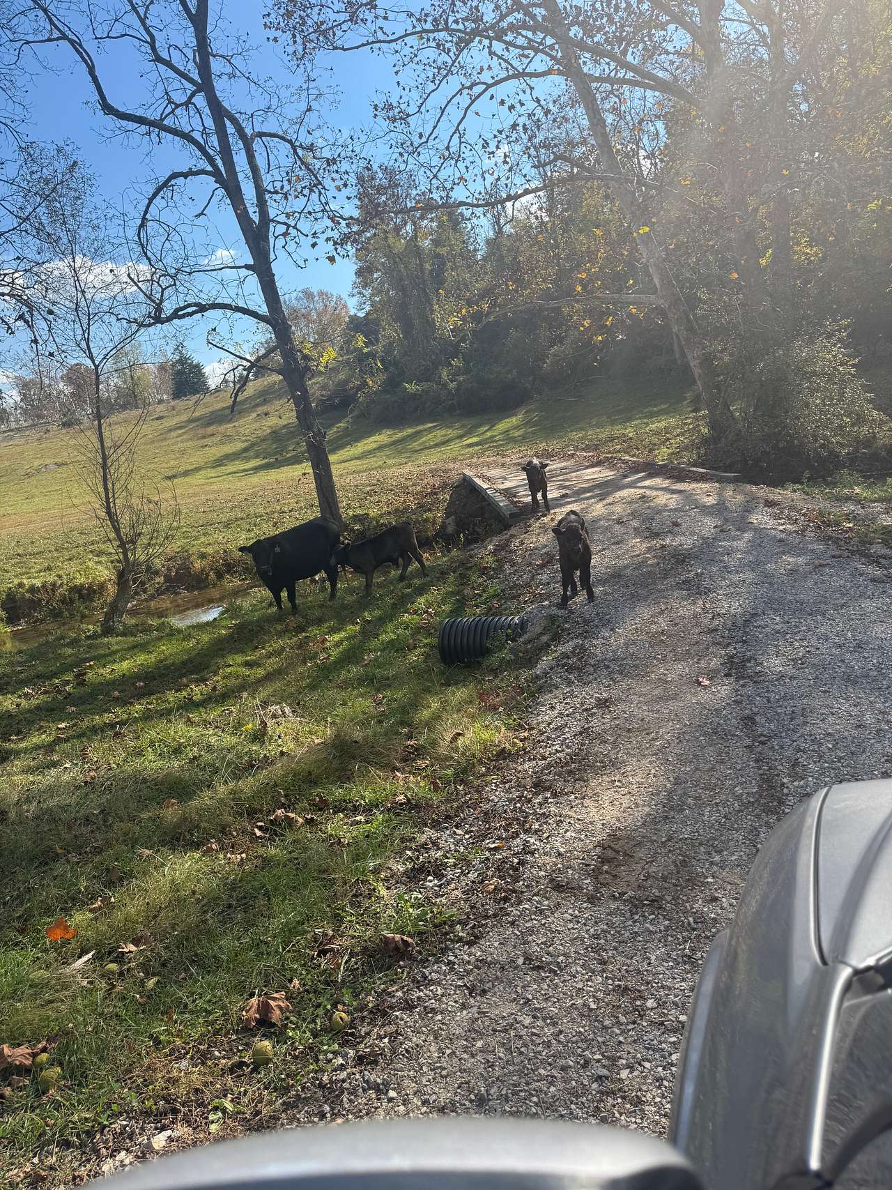 South Fork Farm