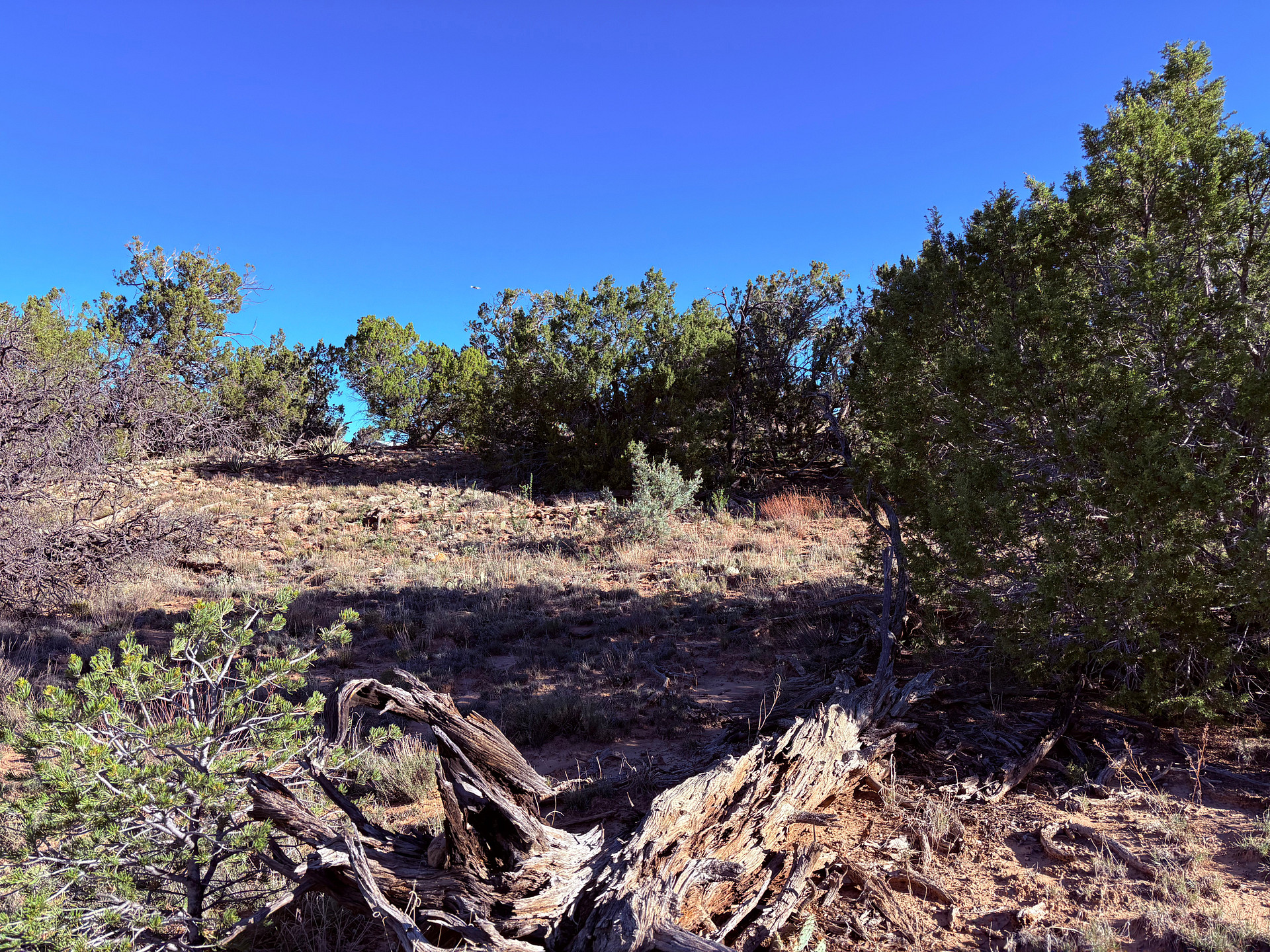 Little Iron Campground