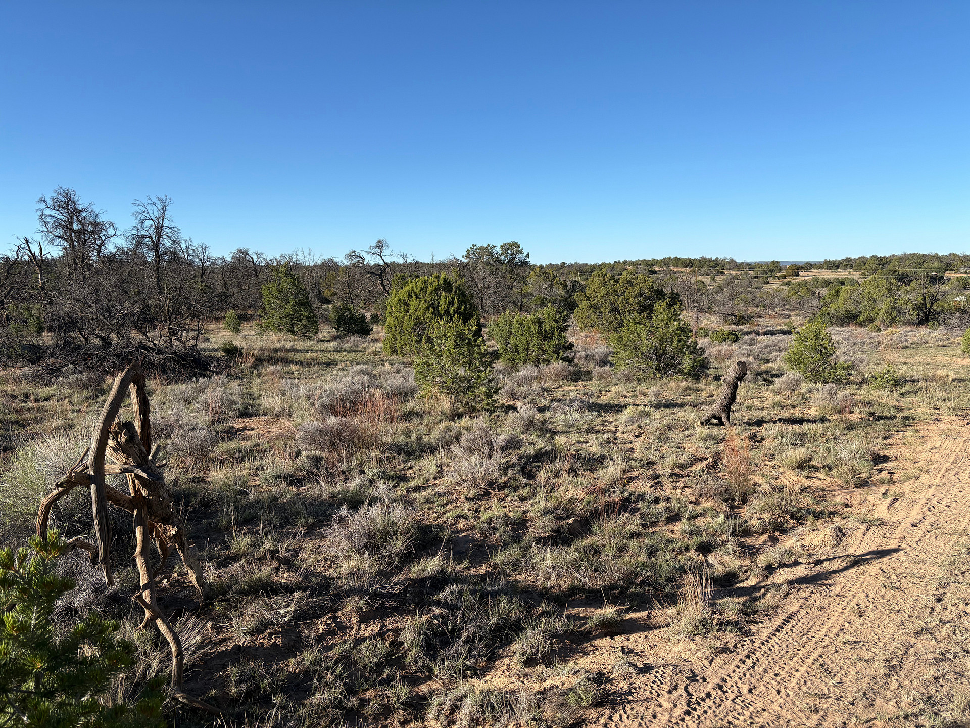 Little Iron Campground