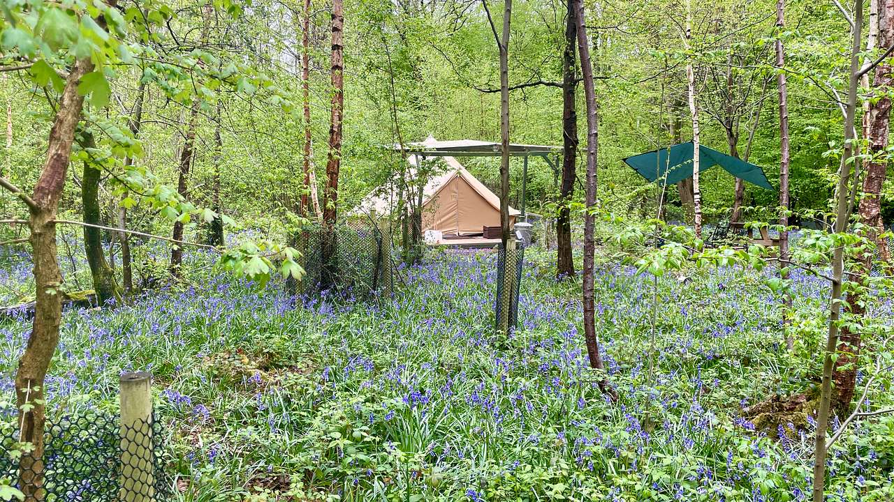 Bell Tent