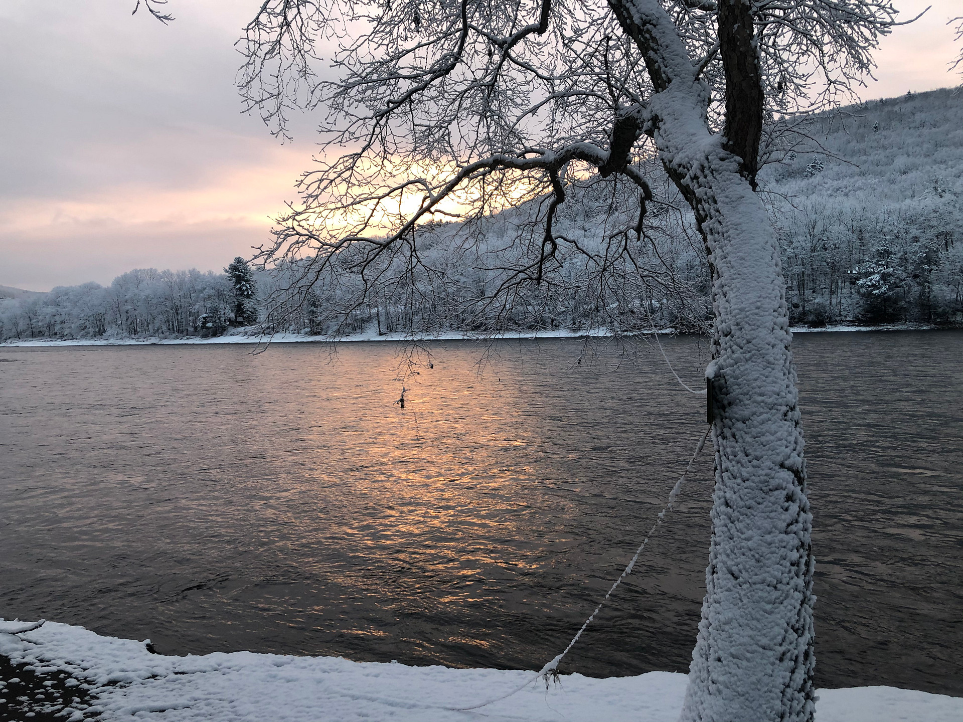 The River's Edge