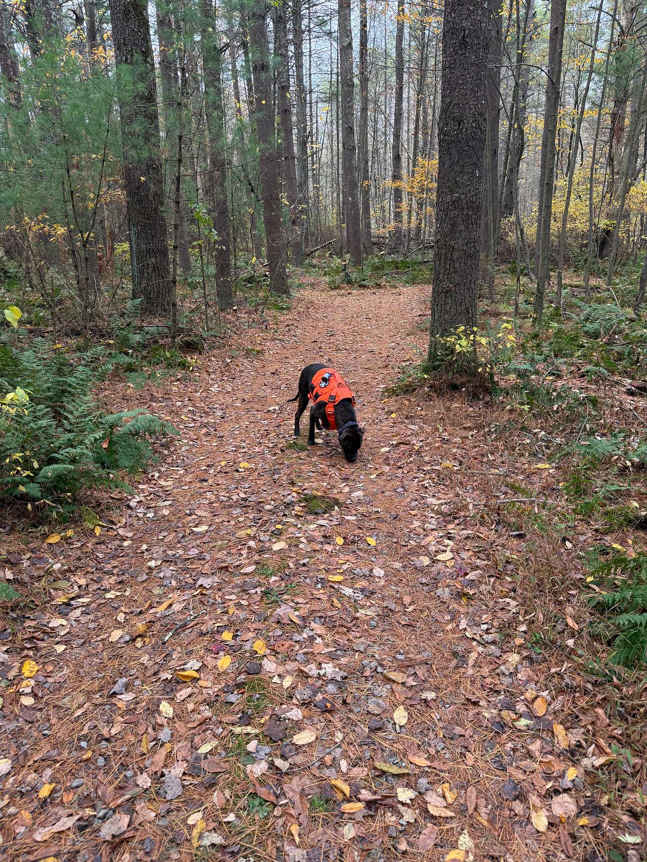 Plenty of trails to explore