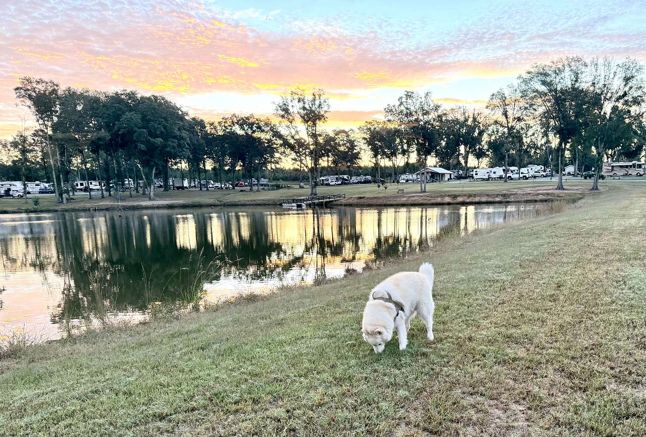 4 County RV Park & Campground
