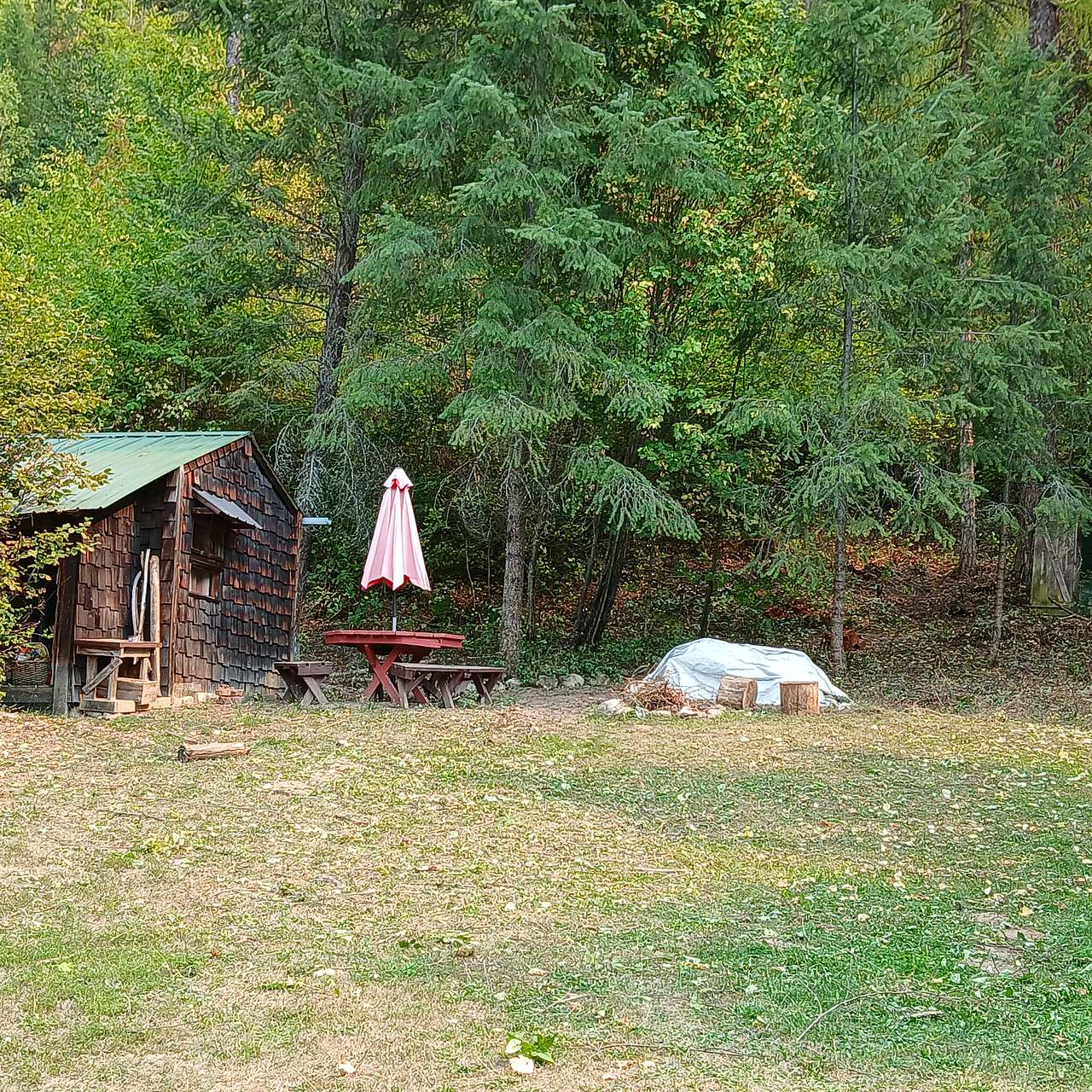 Cabin in the woods