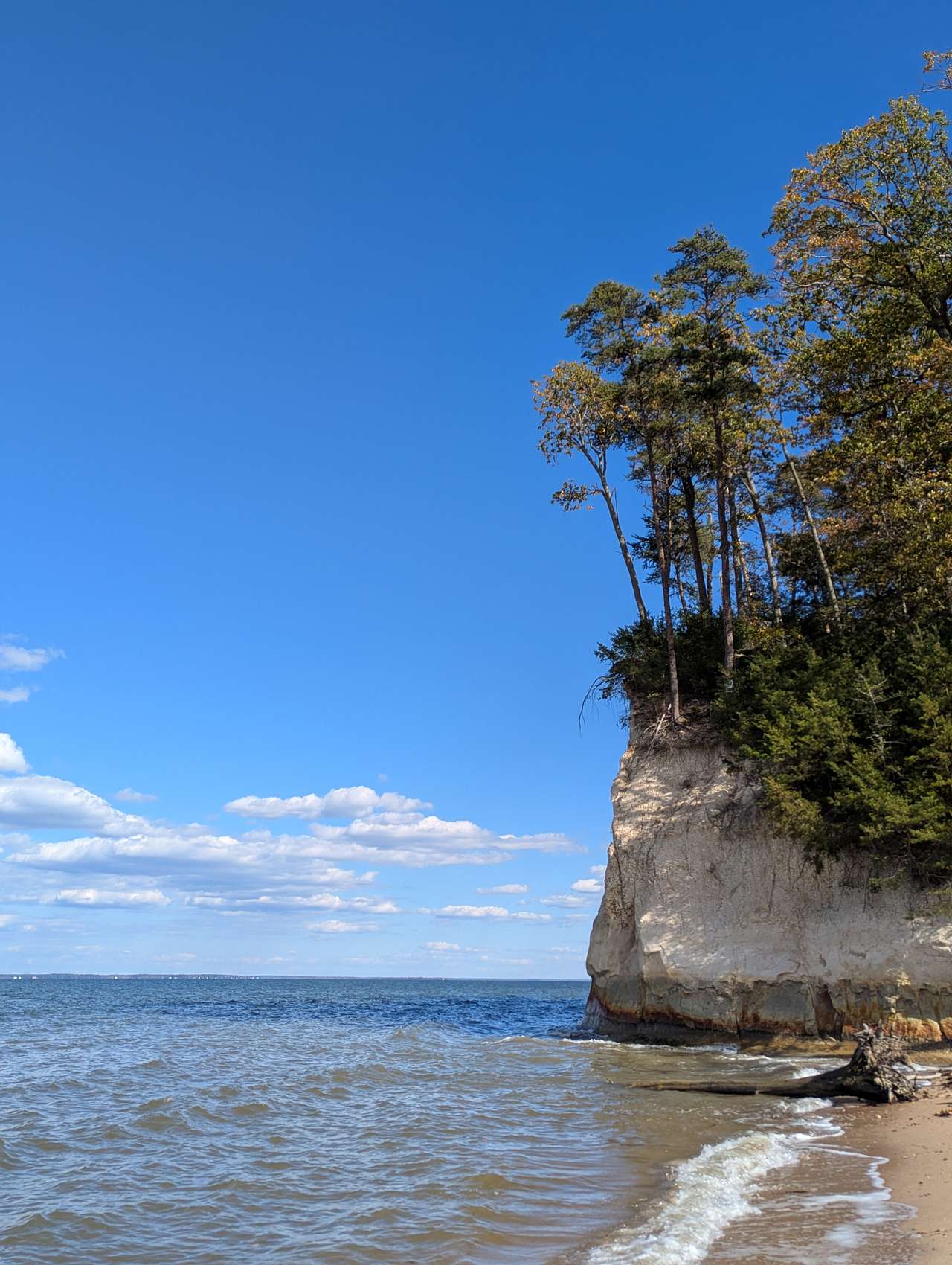 Fossil Beach Cliffs 