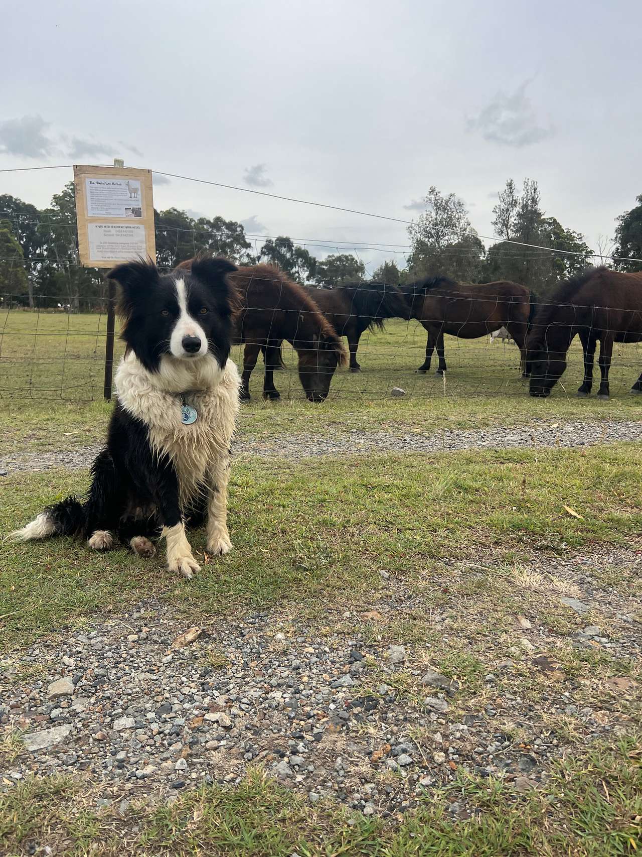 The Hatch Farm - Port Macquarie