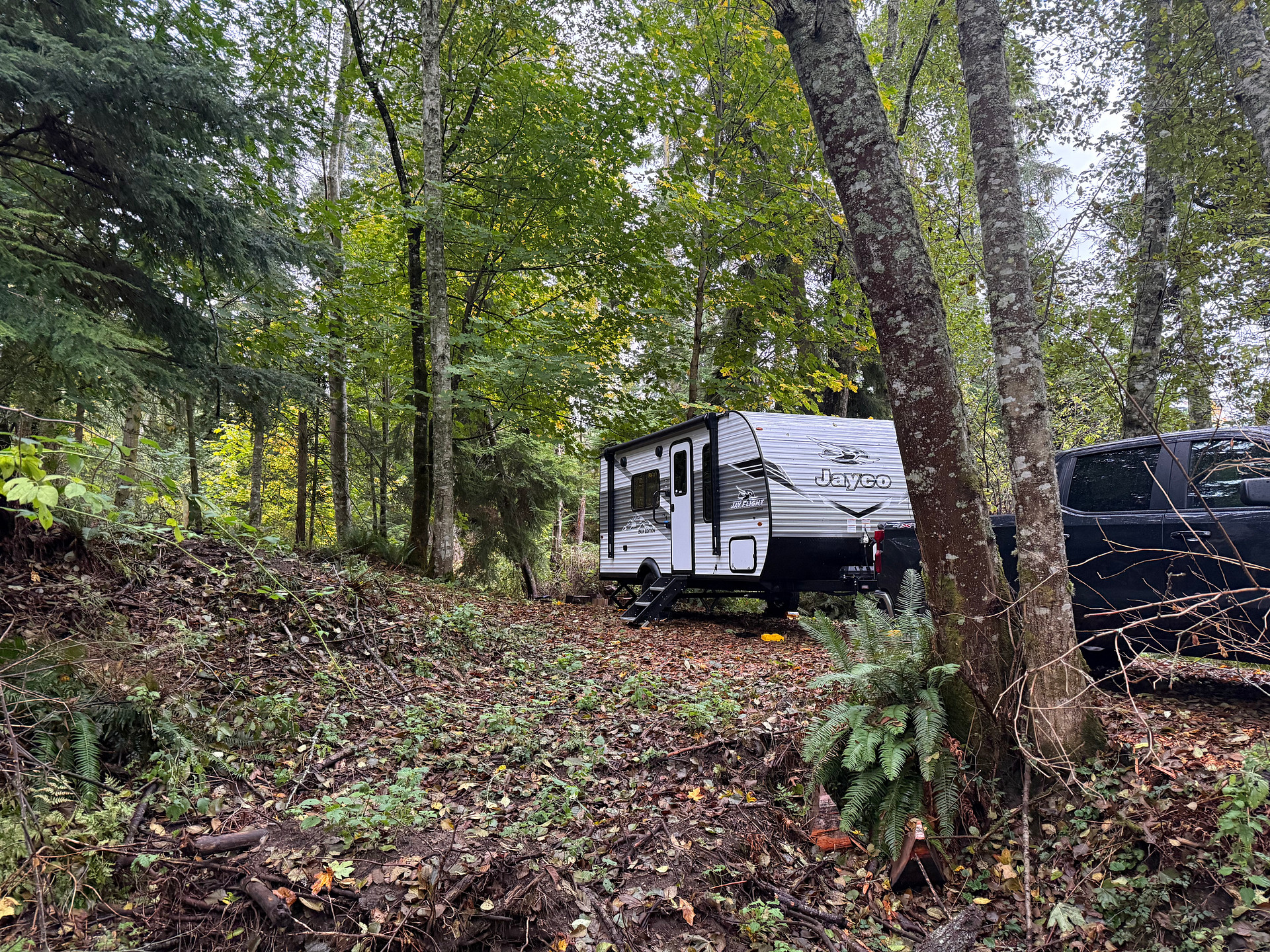 Camp Tranquility