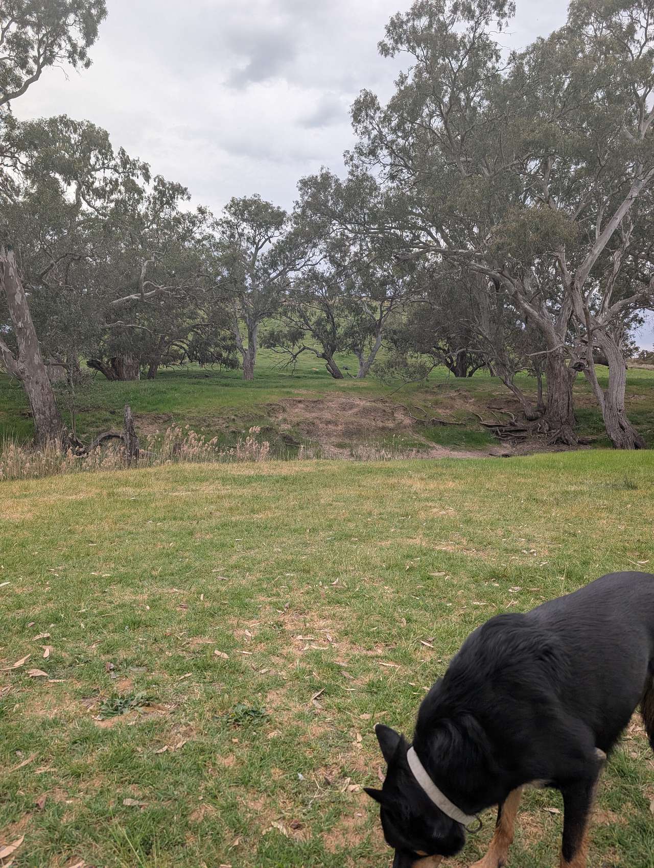 Secluded exclusive river campsite