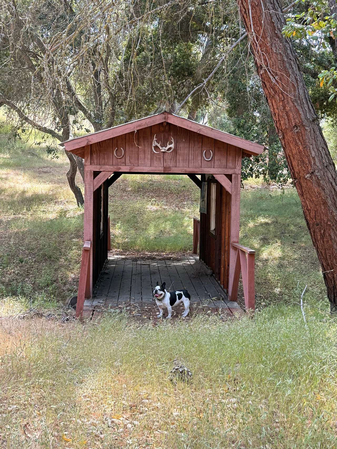 Wolf Six Ranch • Wine Country Stay