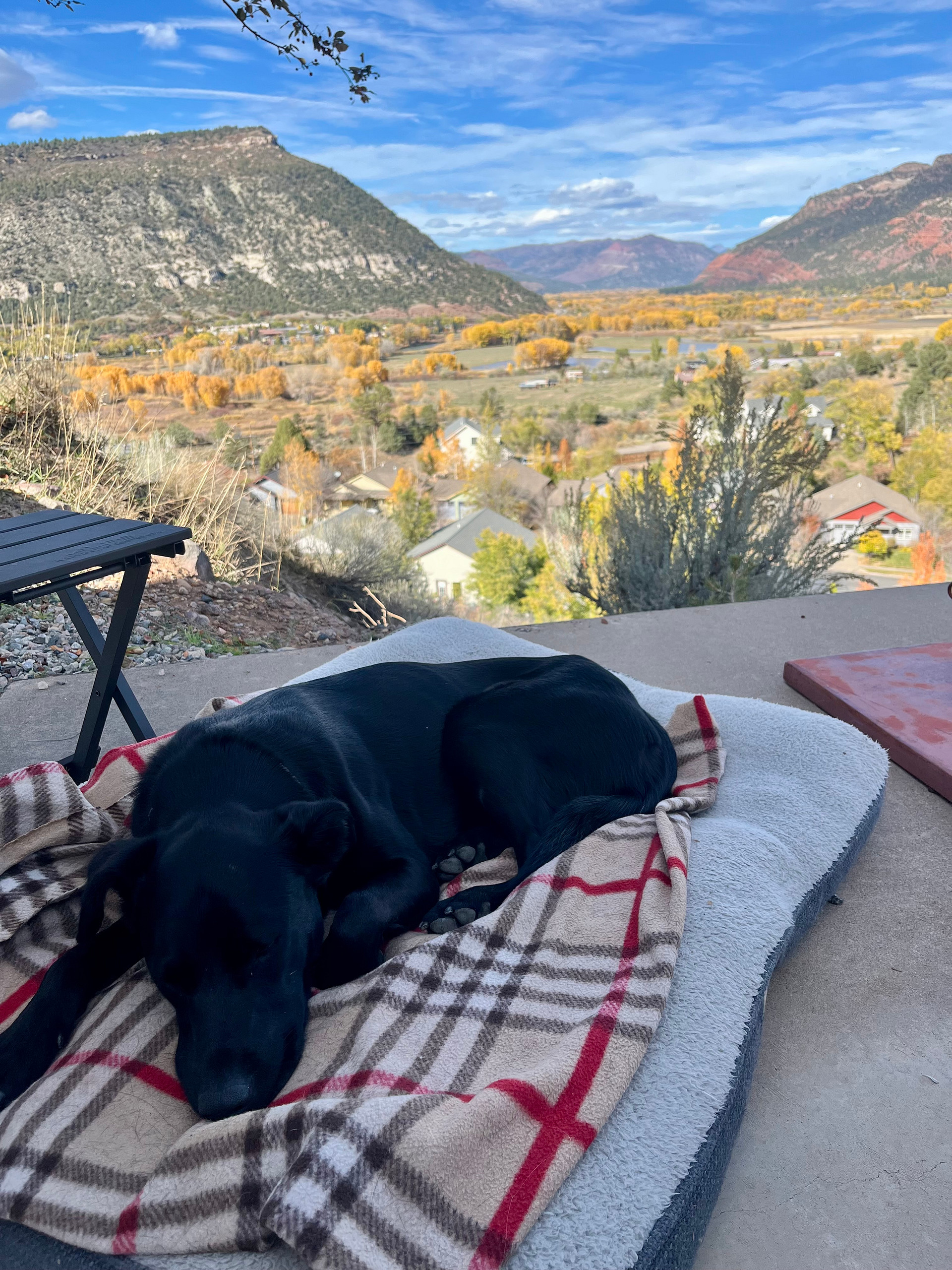 Views For Days! In Town Durango