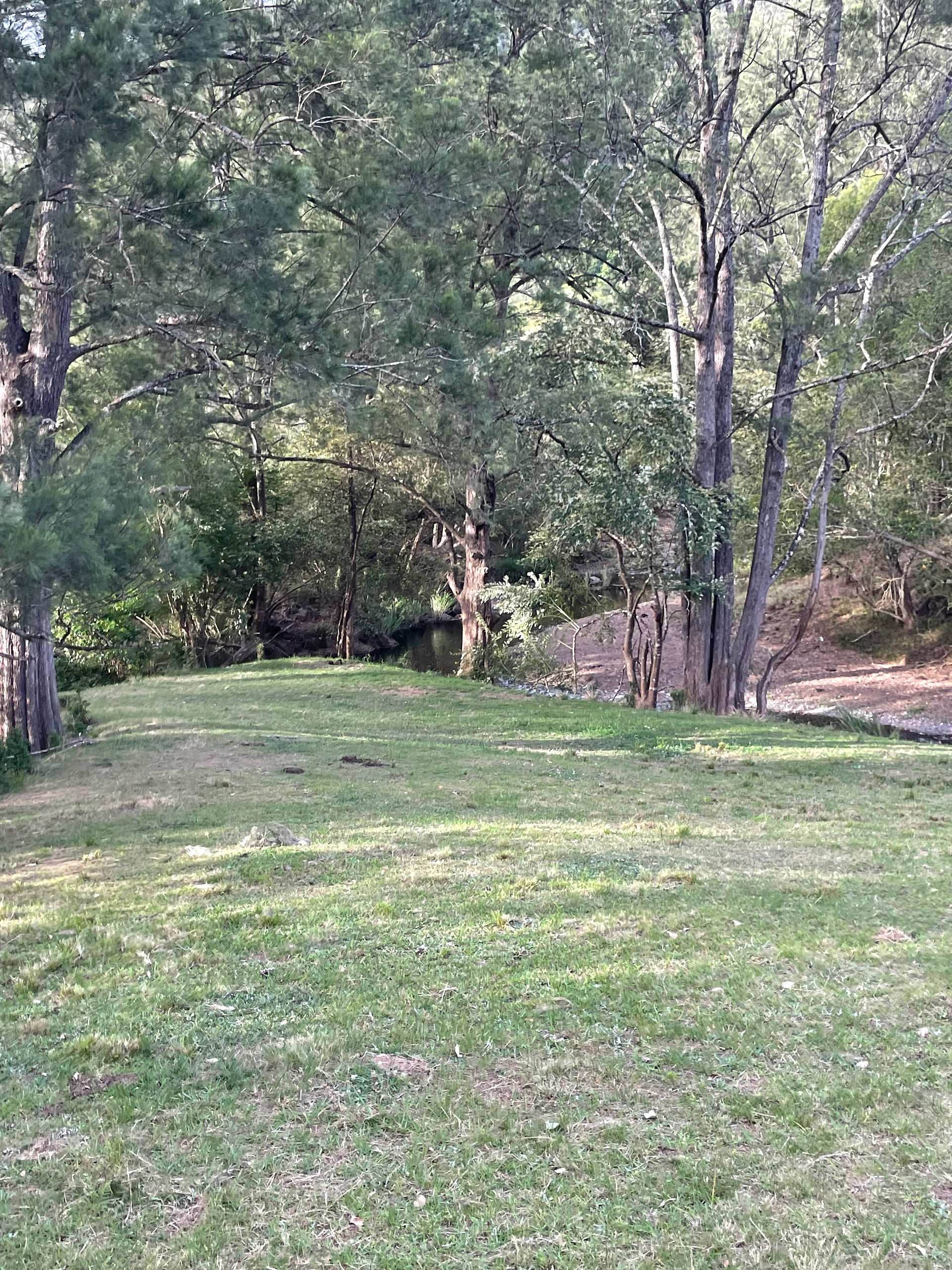 Wongabindi