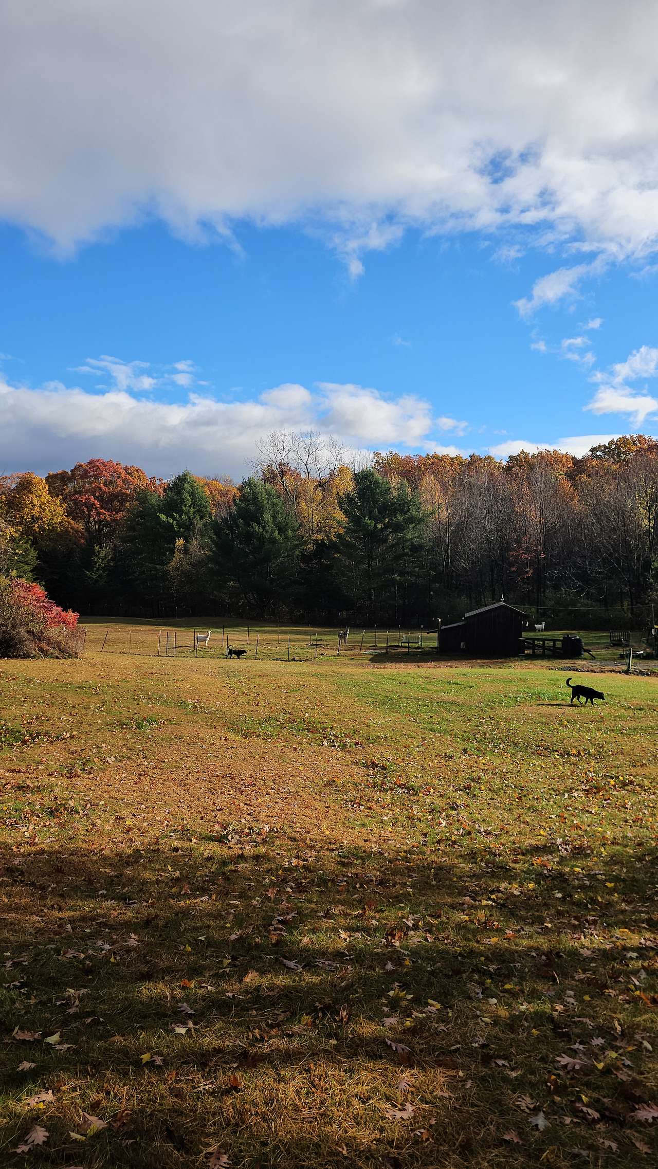 Rangers Respite Retreat
