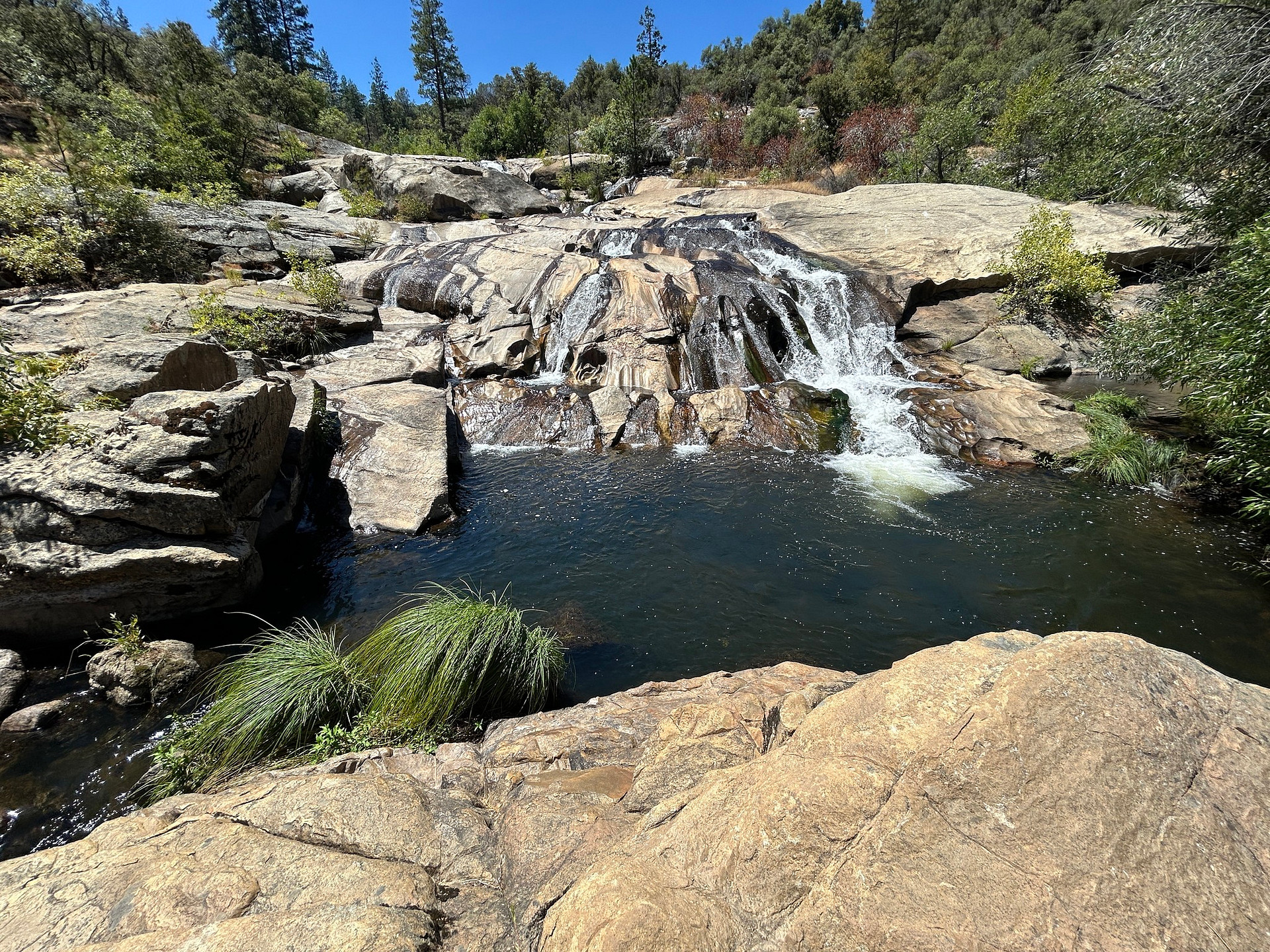 Cedar Springs Retreats