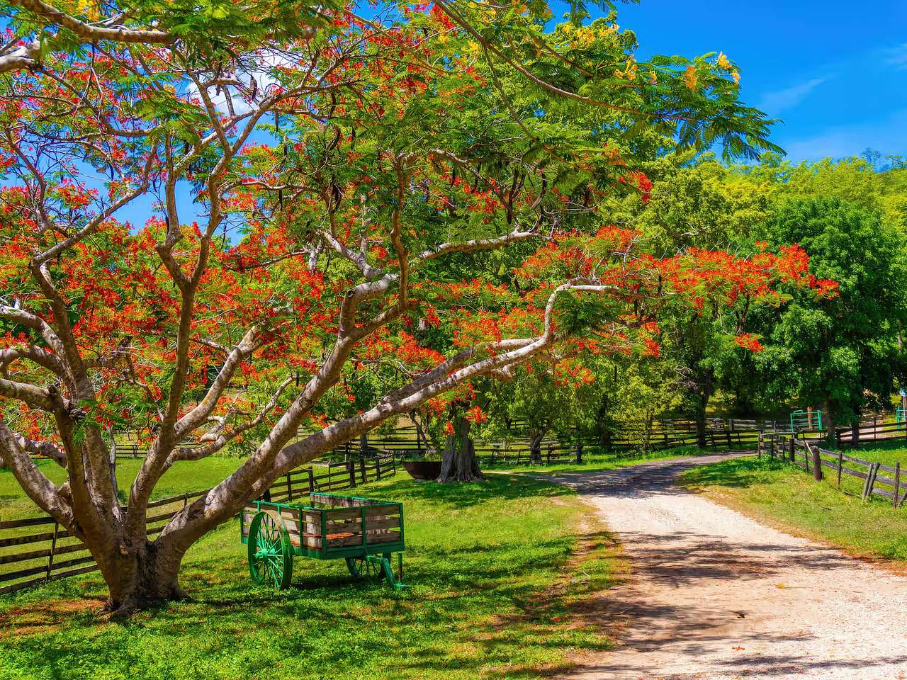 El Rancho Guayacán