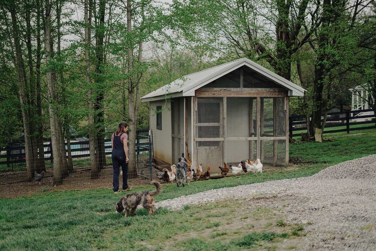 The Farm at Grace Hill