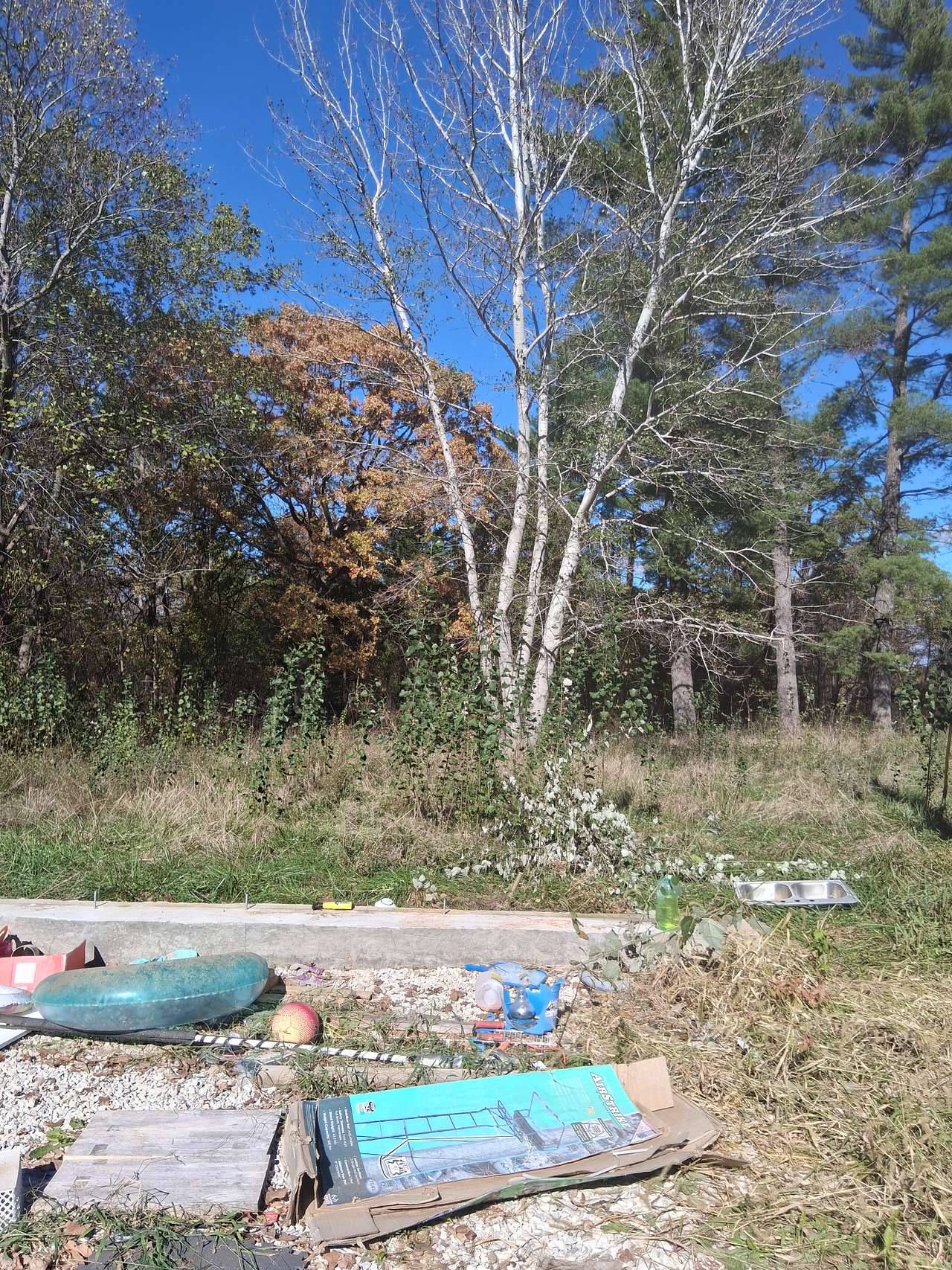 Murphy's Magic Meadow