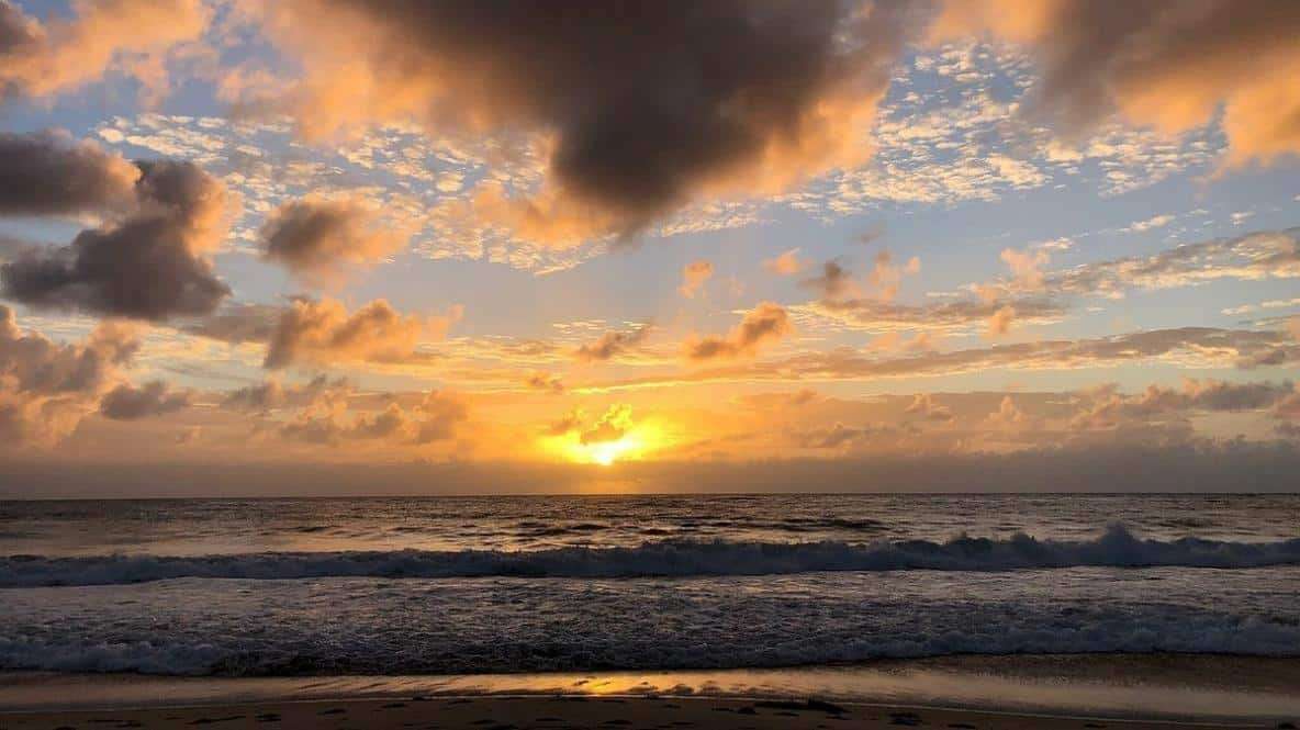 Shellharbour Holiday Village