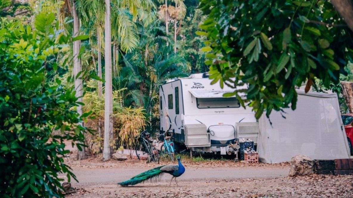 BIG4 Howard Springs Holiday Park