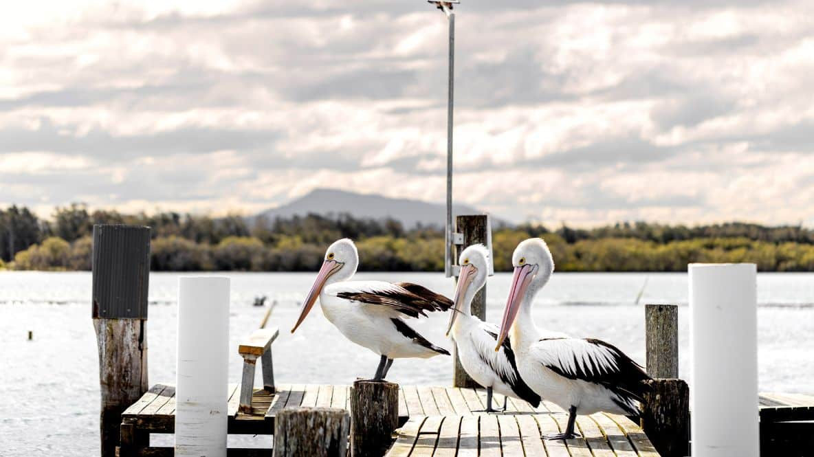 BIG4 Manning Point Holiday Park