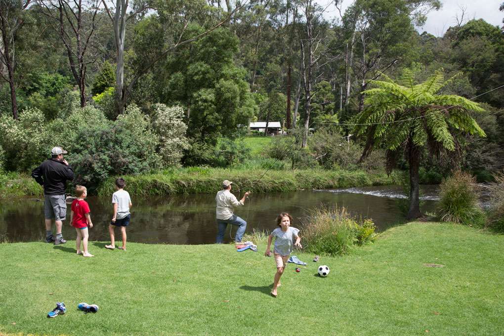 Warburton Holiday Park