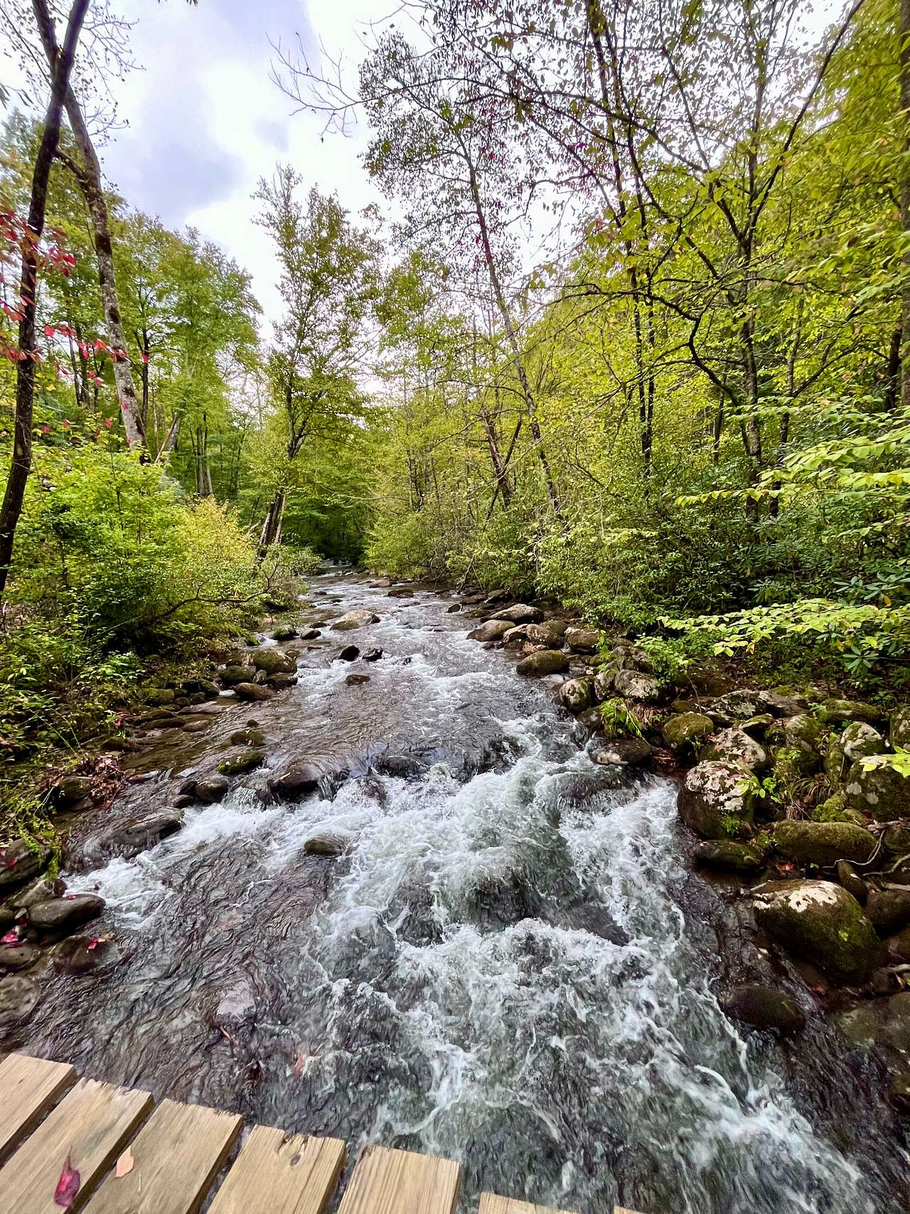 Not too far past The Cove is West Buffalo Creek- perfect for hiking along, trout fishing, and relaxing!