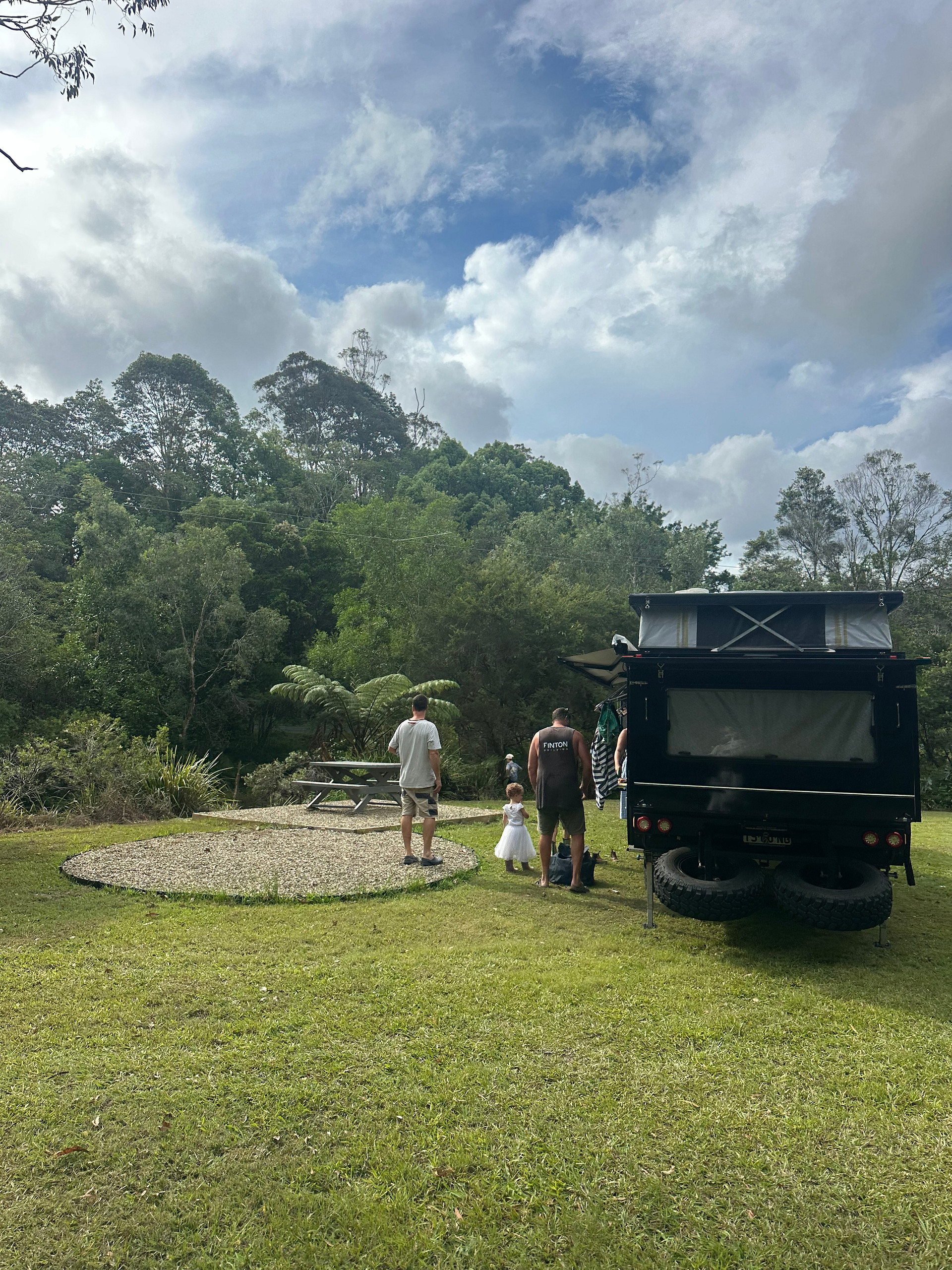 Tree Fern Dam