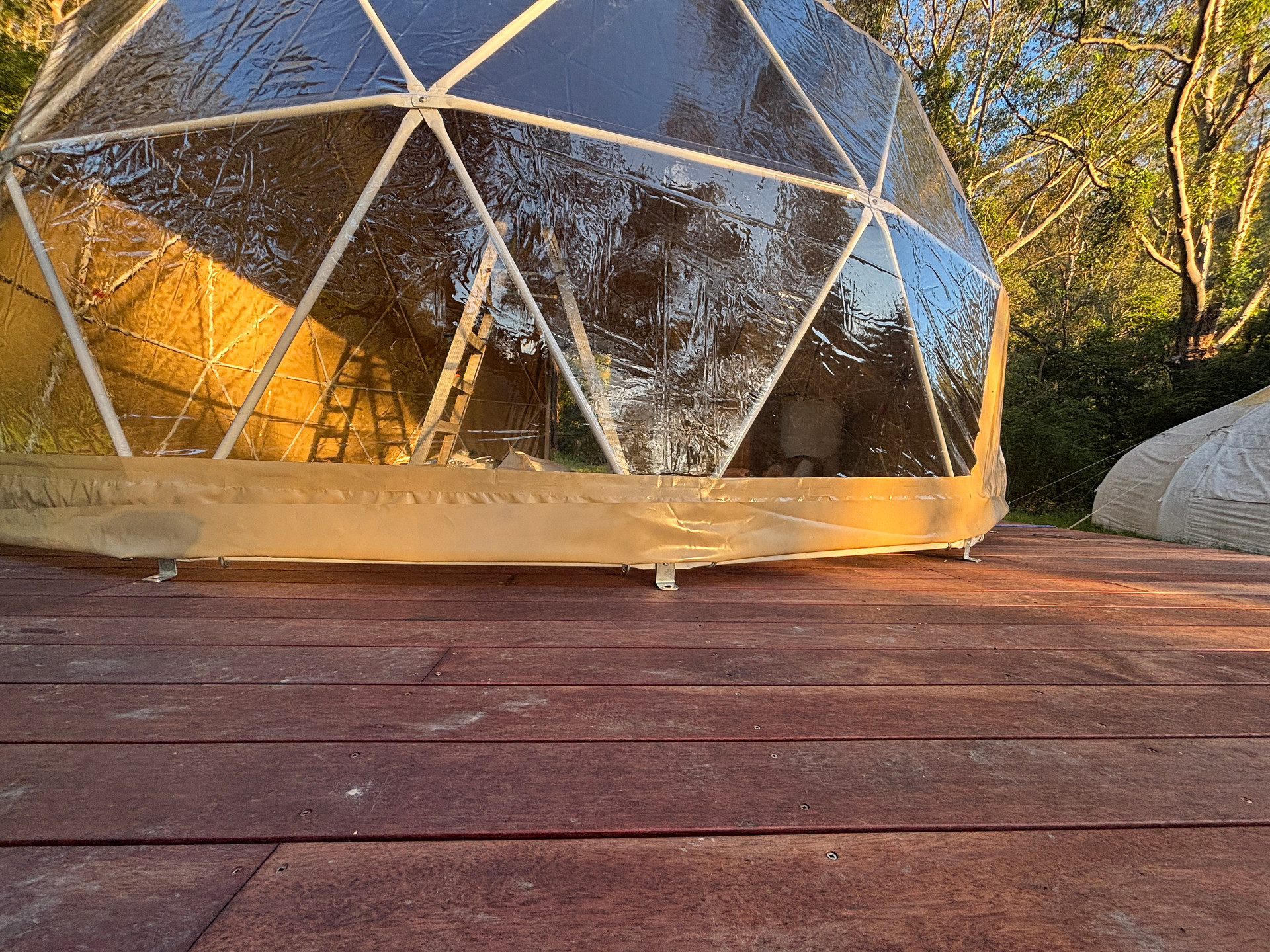 Glamping Around An Ancient Tree
