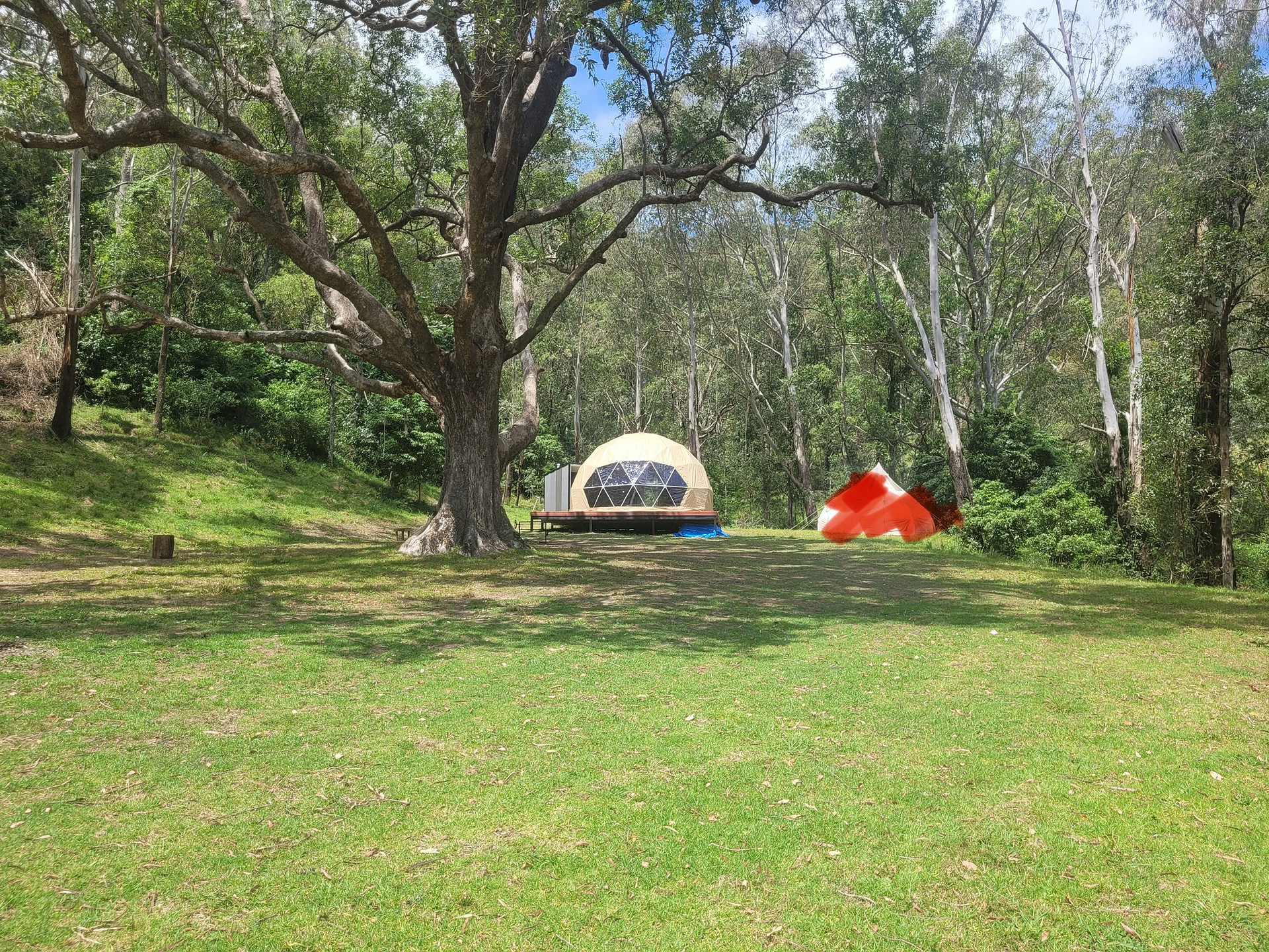 Glamping Around An Ancient Tree