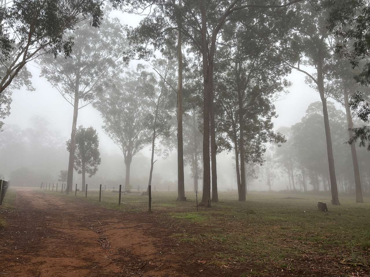Blackbutt Permaculture Farm Camp