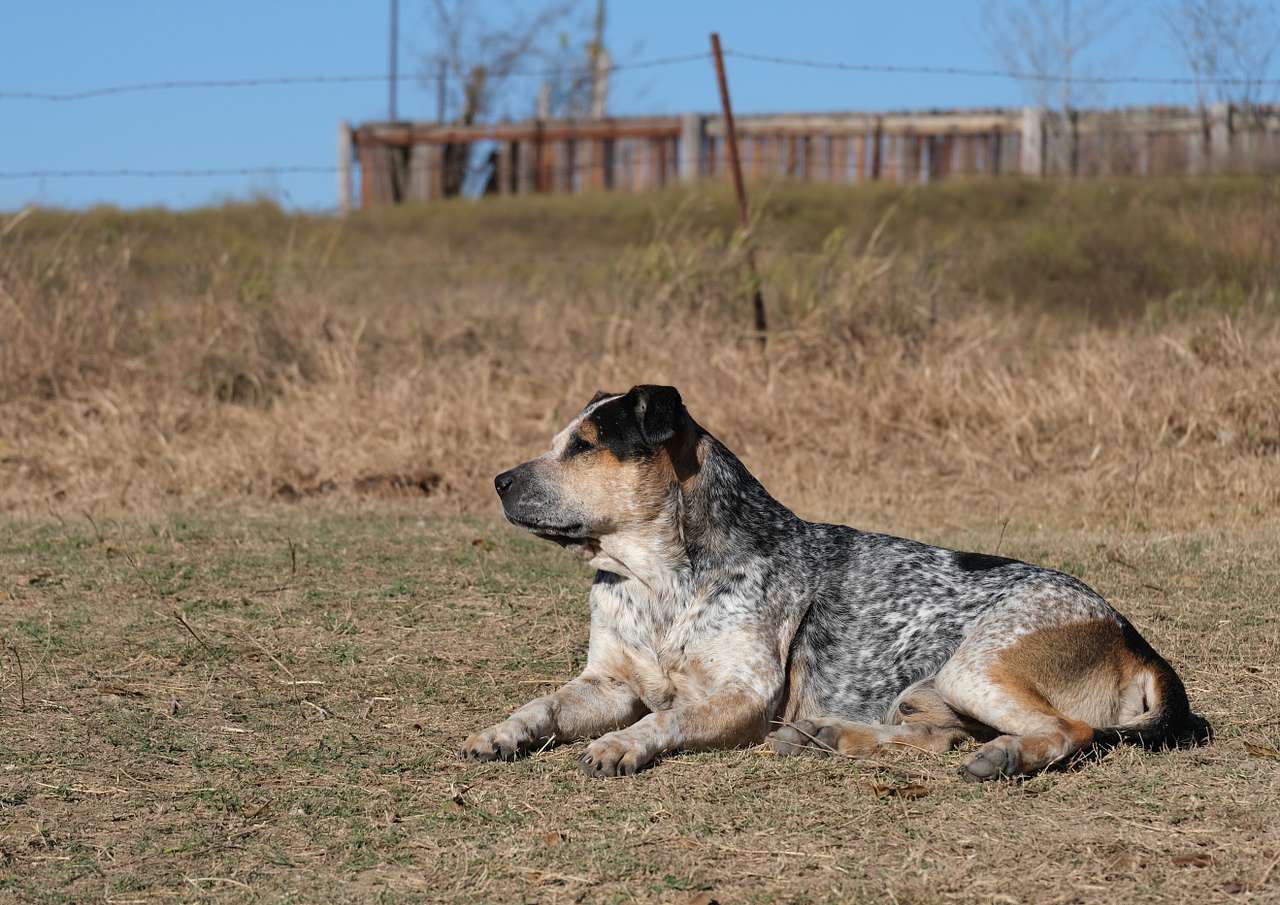 Broken Bow Ranch