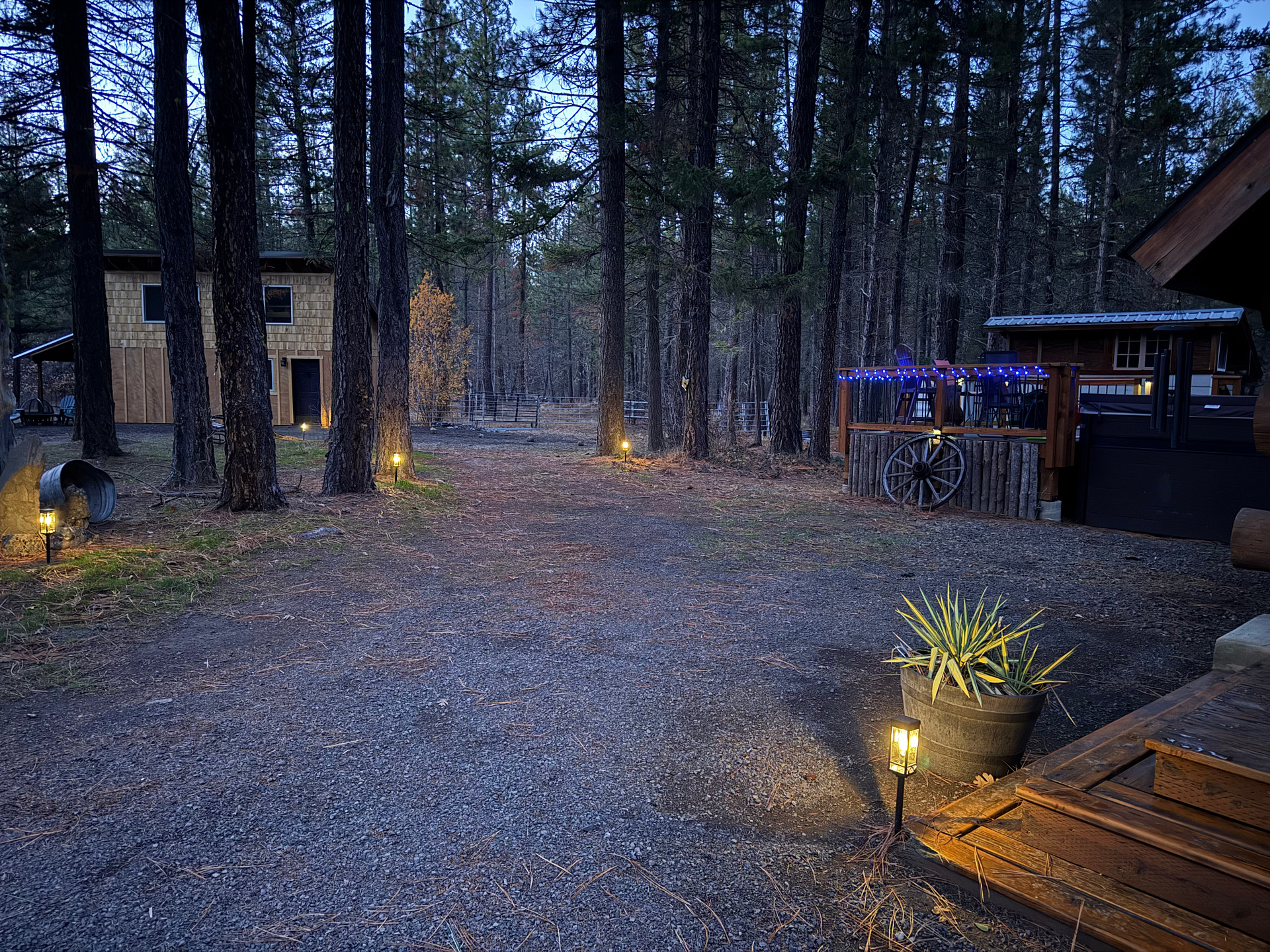 Bear Wilderness