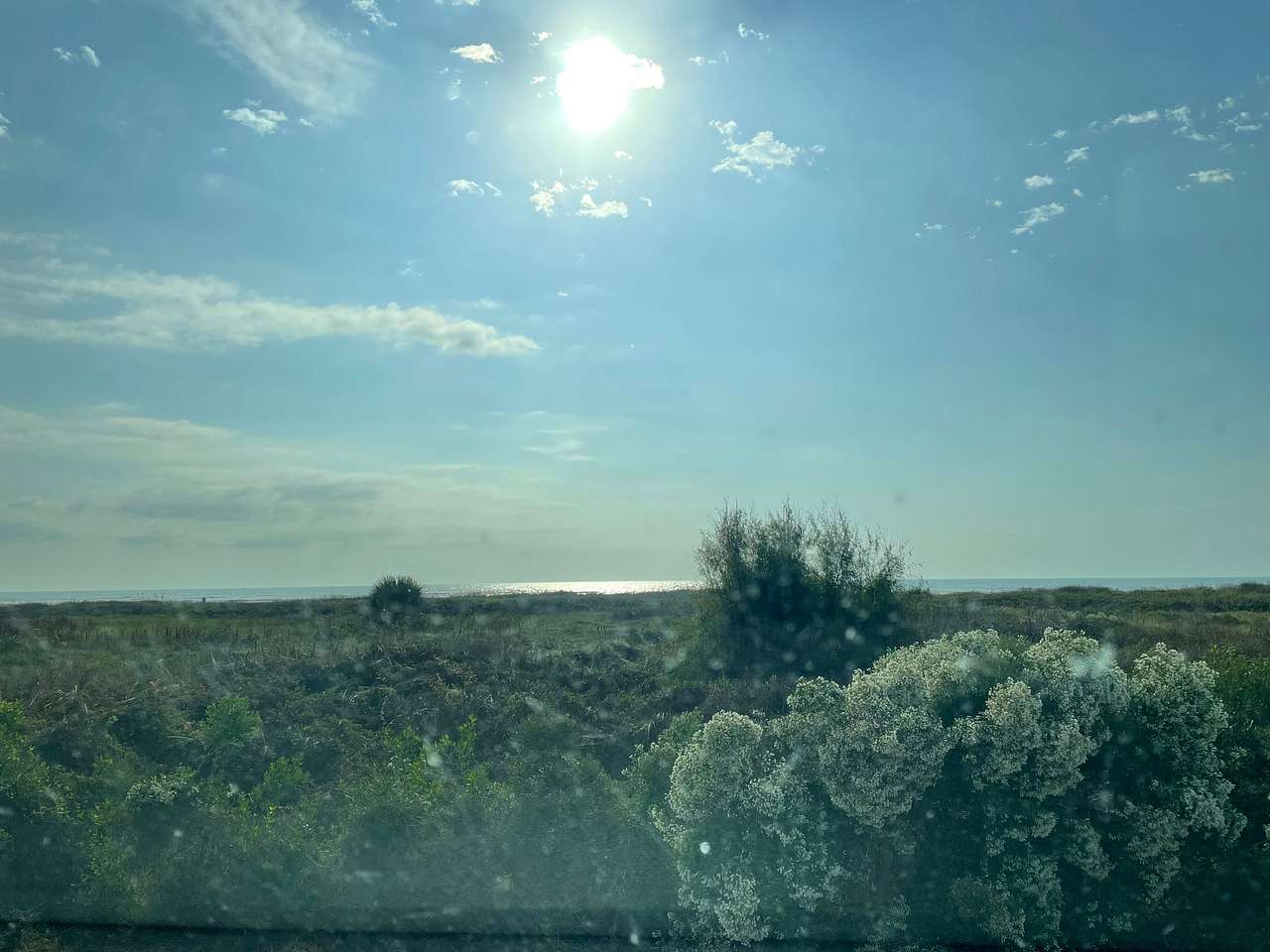 View of the Gulf from camp