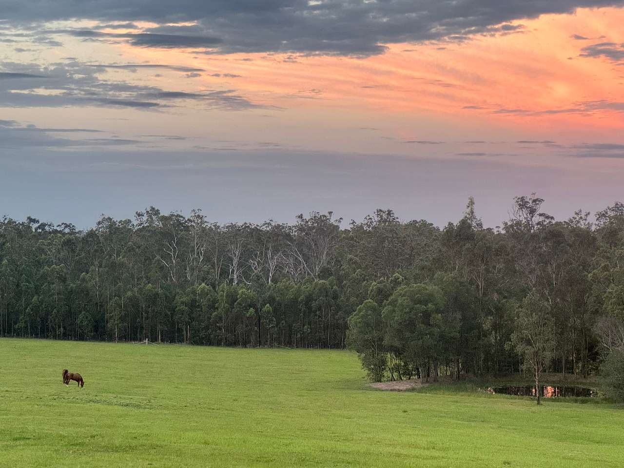 Mororo Hobby Farm