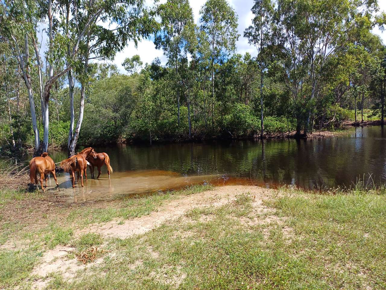 Ironpot Acres