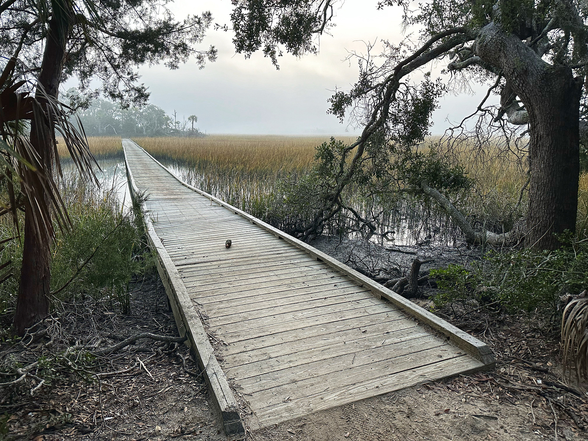 Edisto Beach Campground