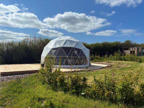 Dyers Meadows Camping