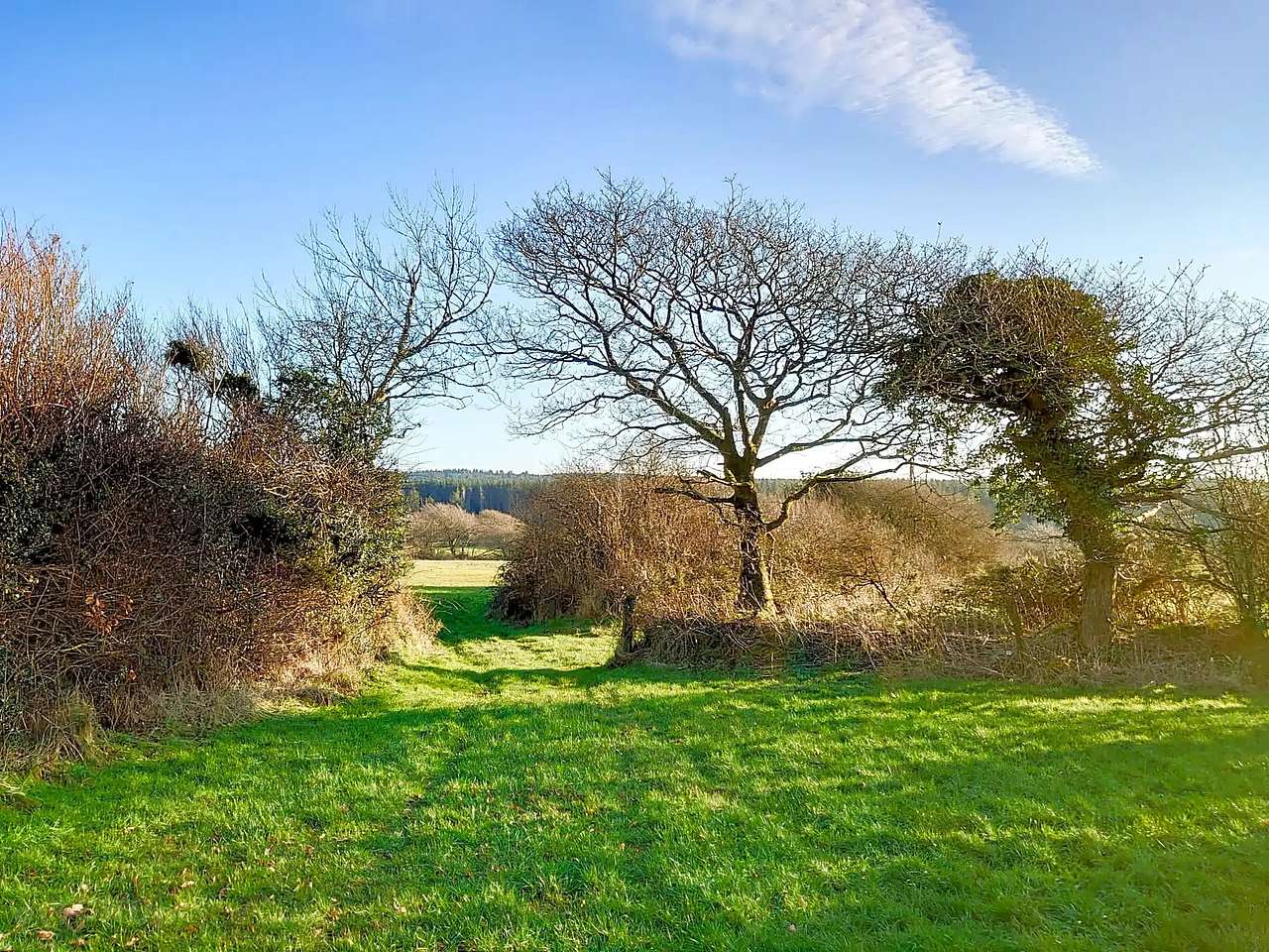 Dyers Meadows Camping