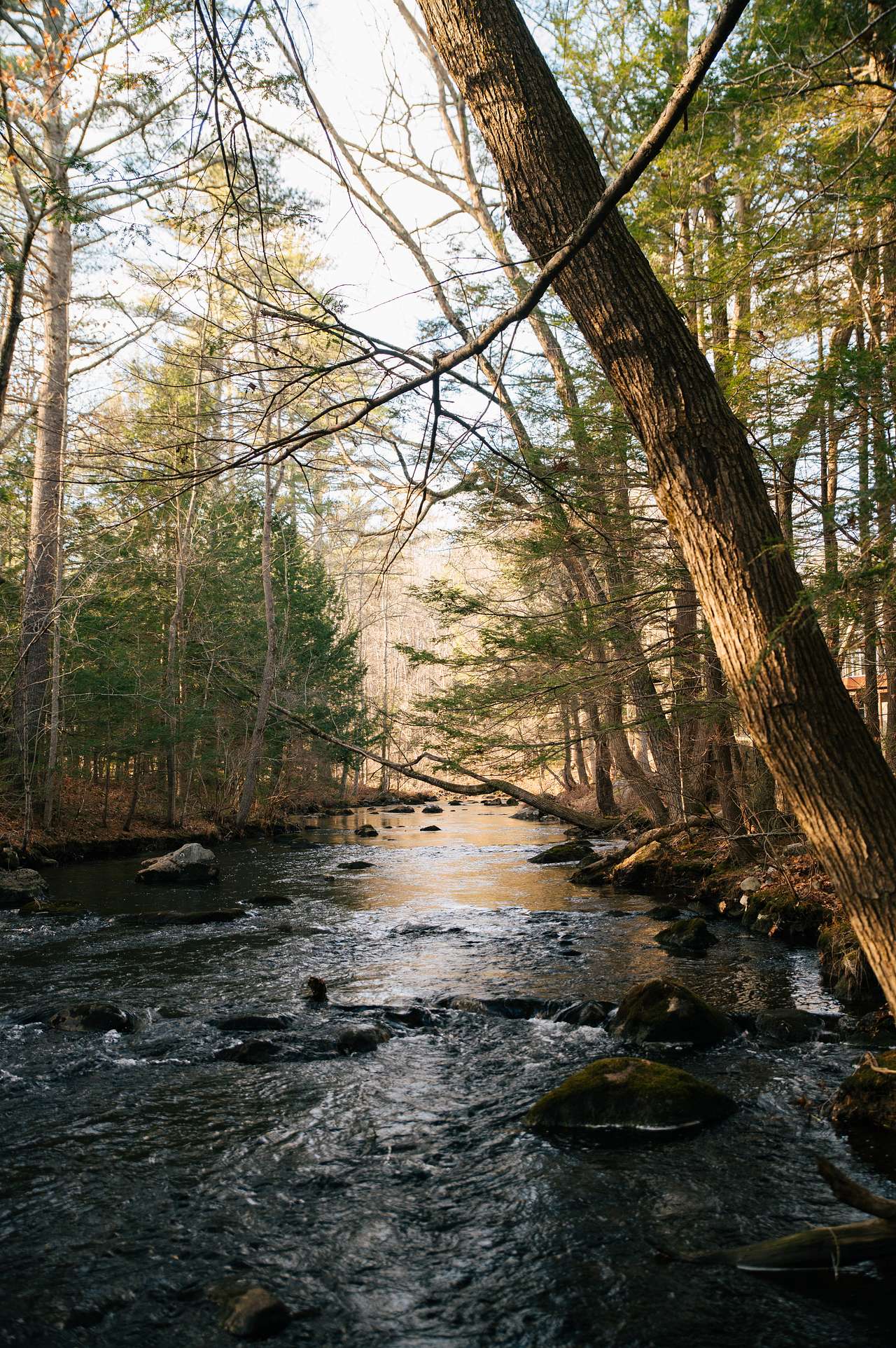 river