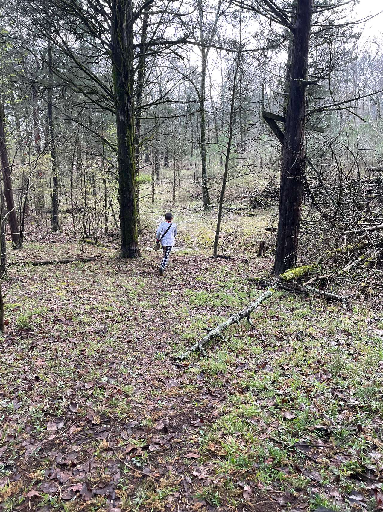High Rock Acres