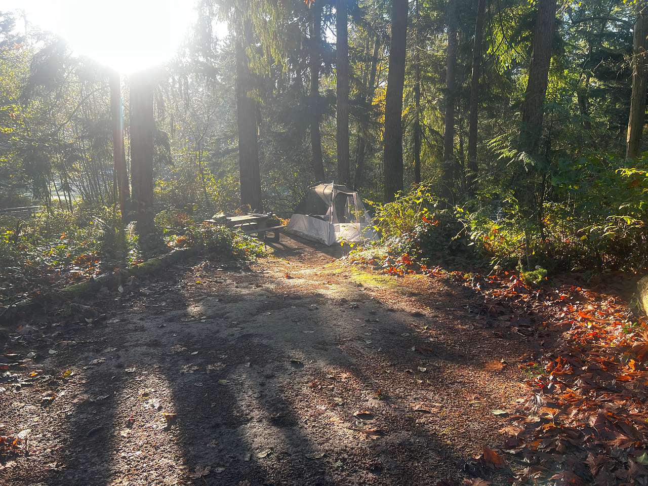 Campsite
