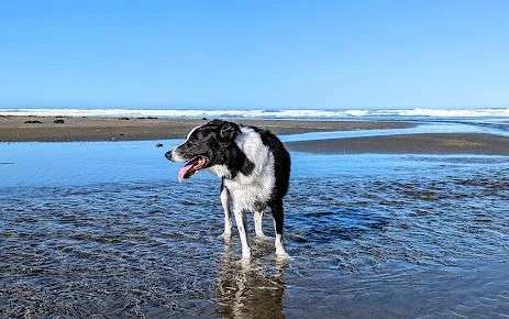 Beach Bound RV Park