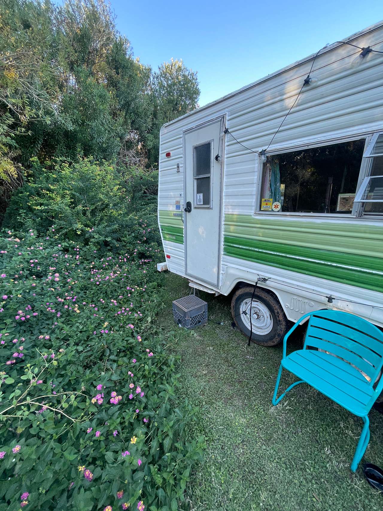 Parked up against the flowers