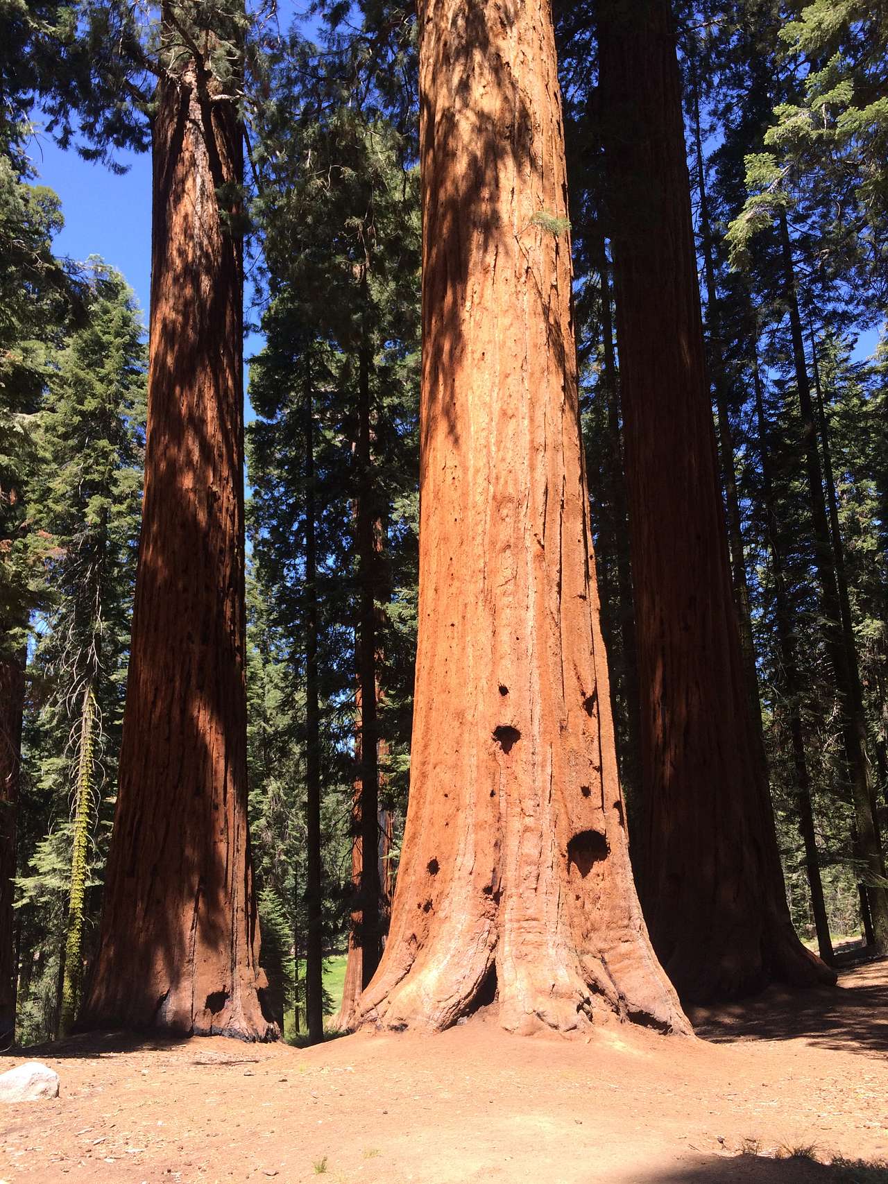 South Fork Campground